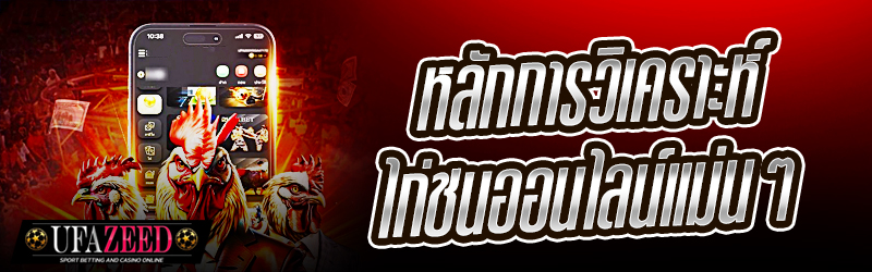 หลักการวิเคราะห์ไก่ชนออนไลน์แม่น ๆ